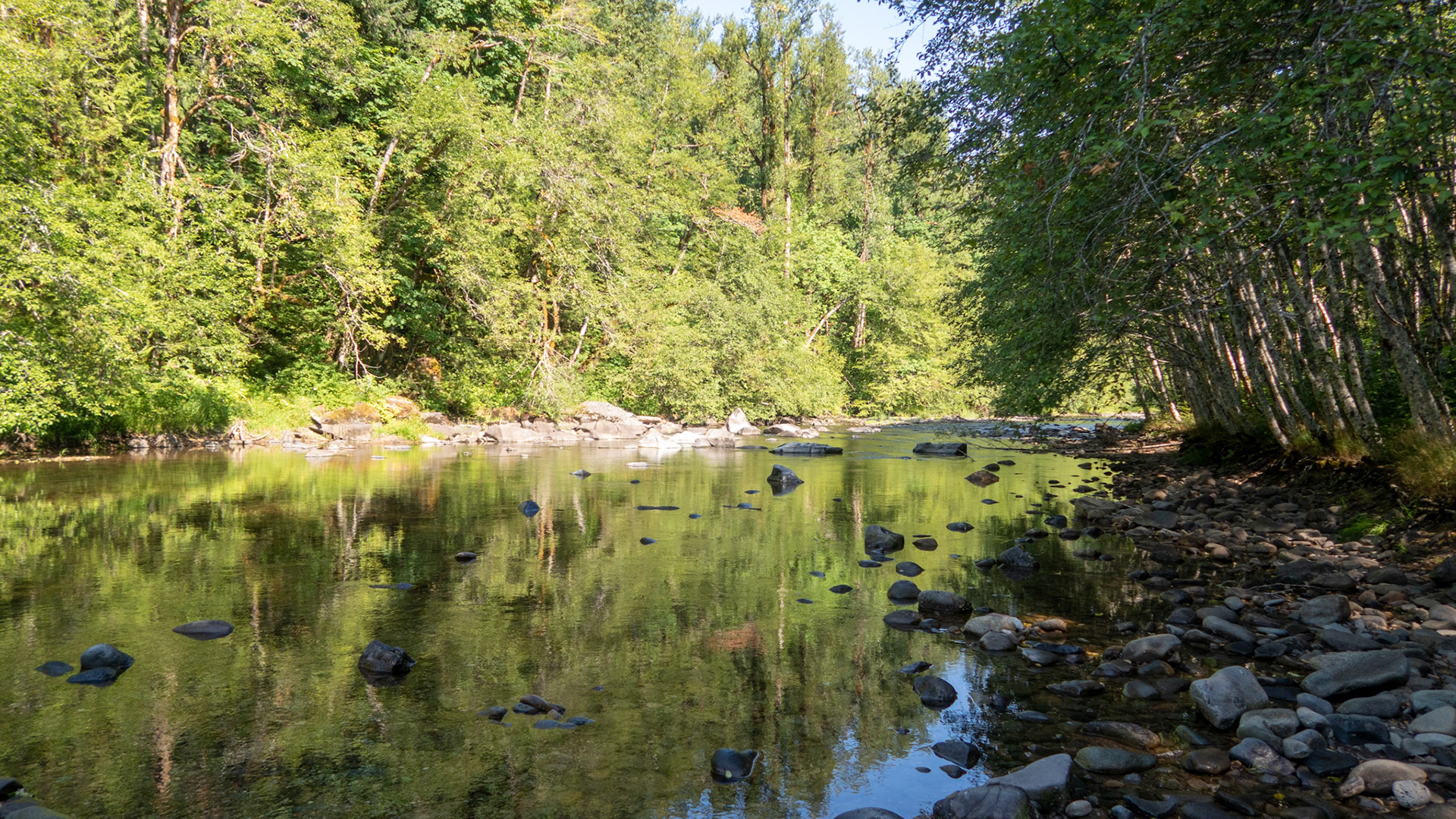 Beaver Camp