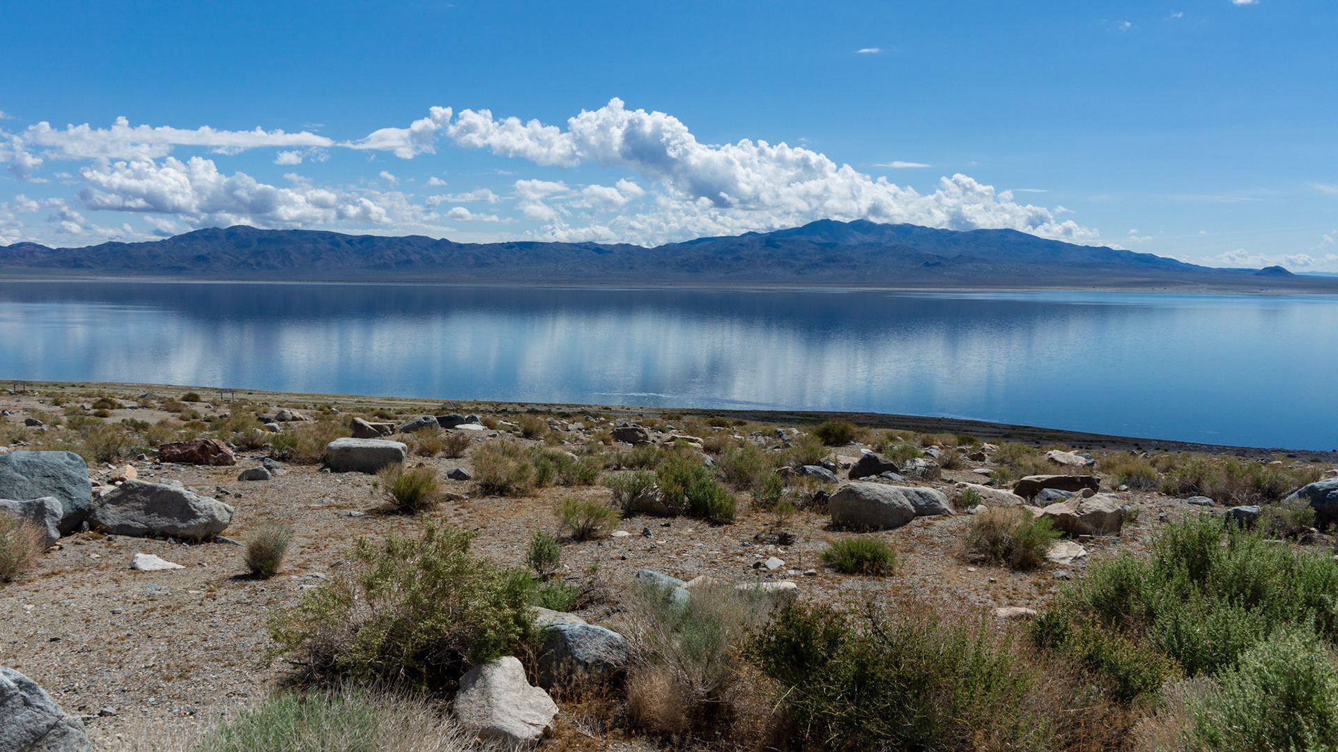 Walker Lake - Sportsman's Beach