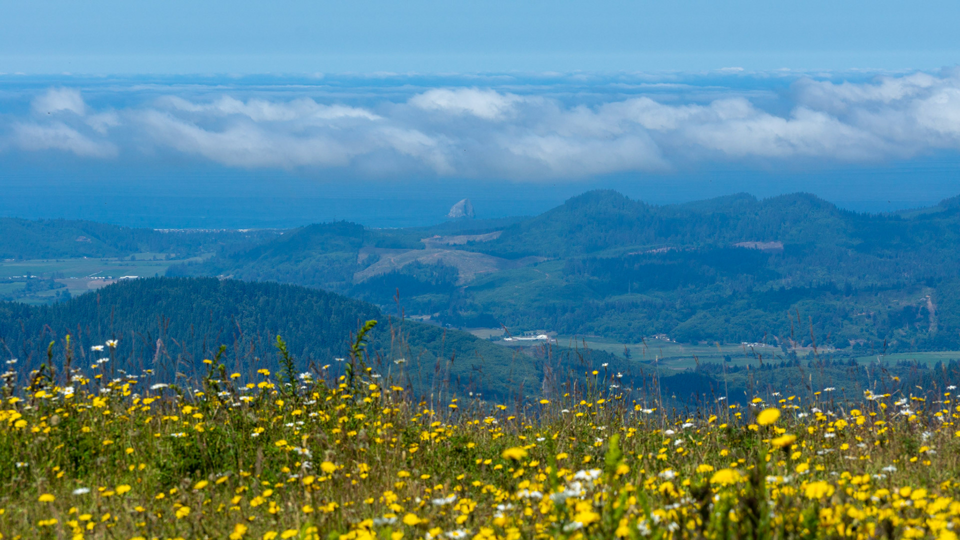 Mount Hebo View Point