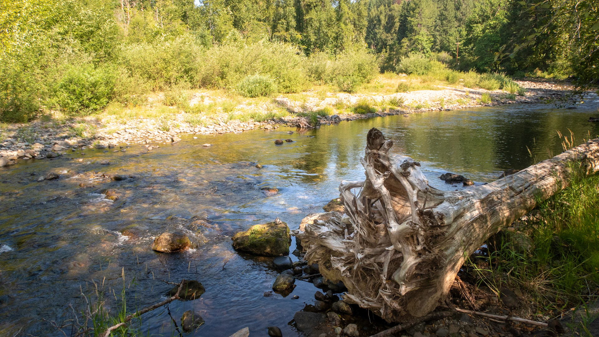 Beaver Camp