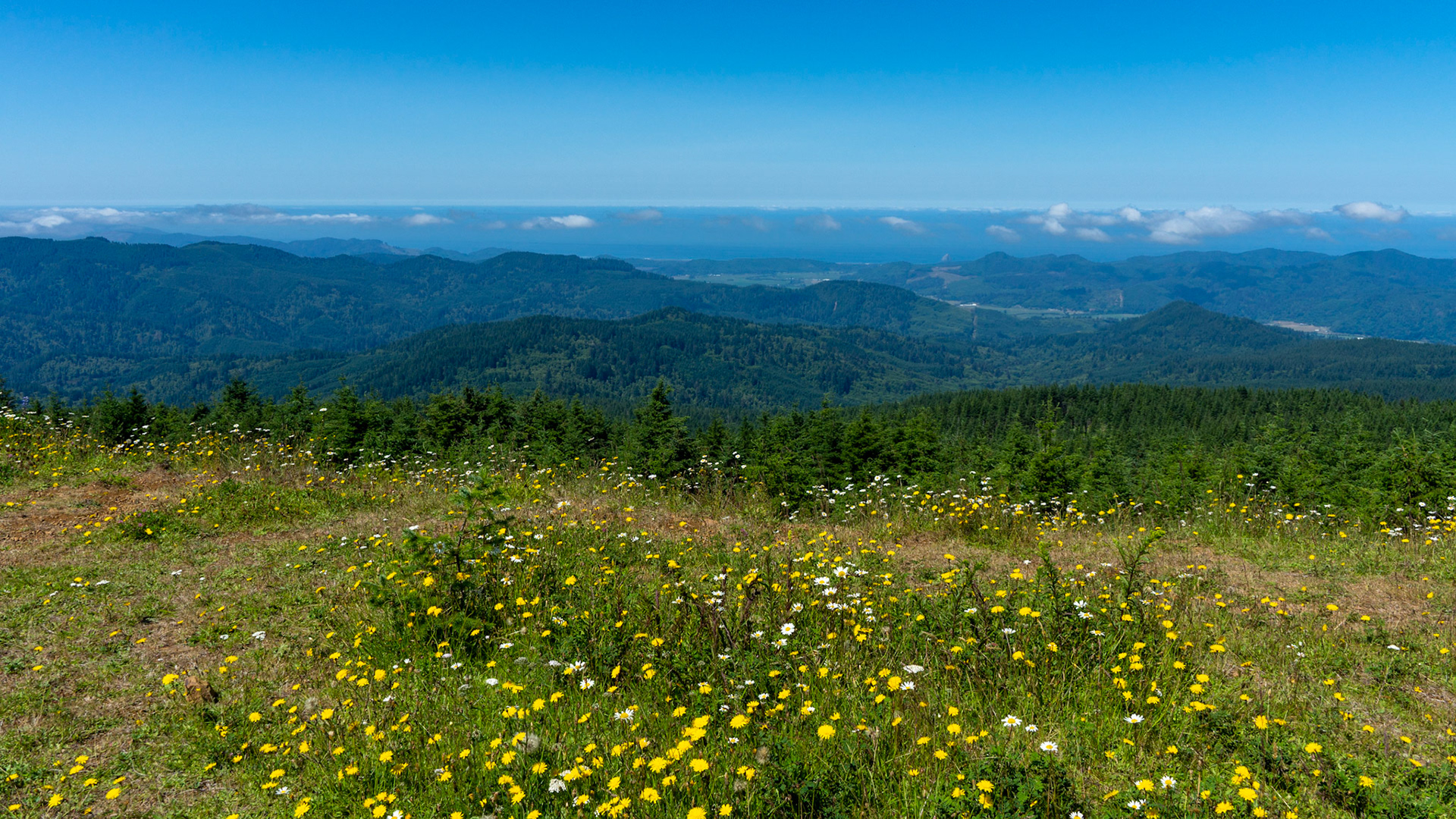 Mount Hebo View Point