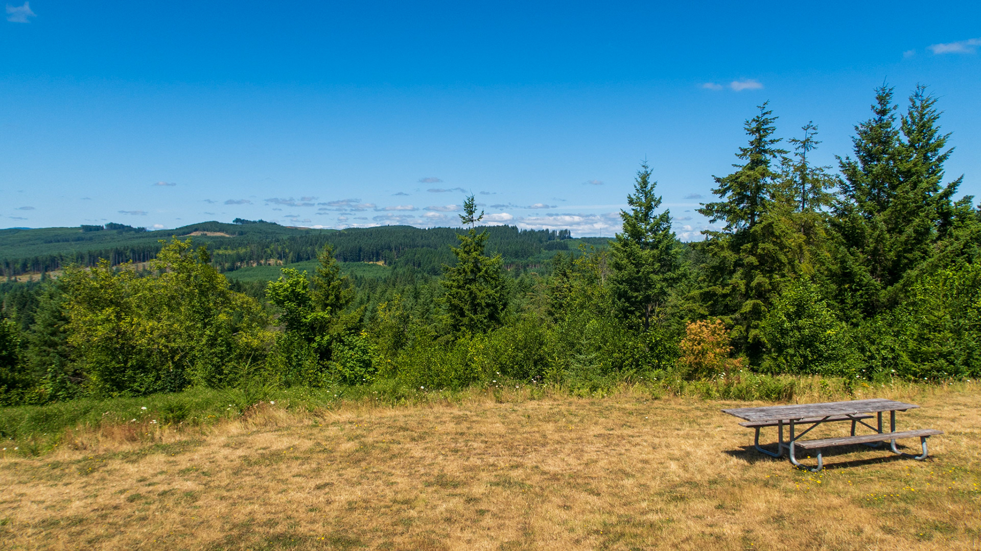 L L Stub Stewart State Park