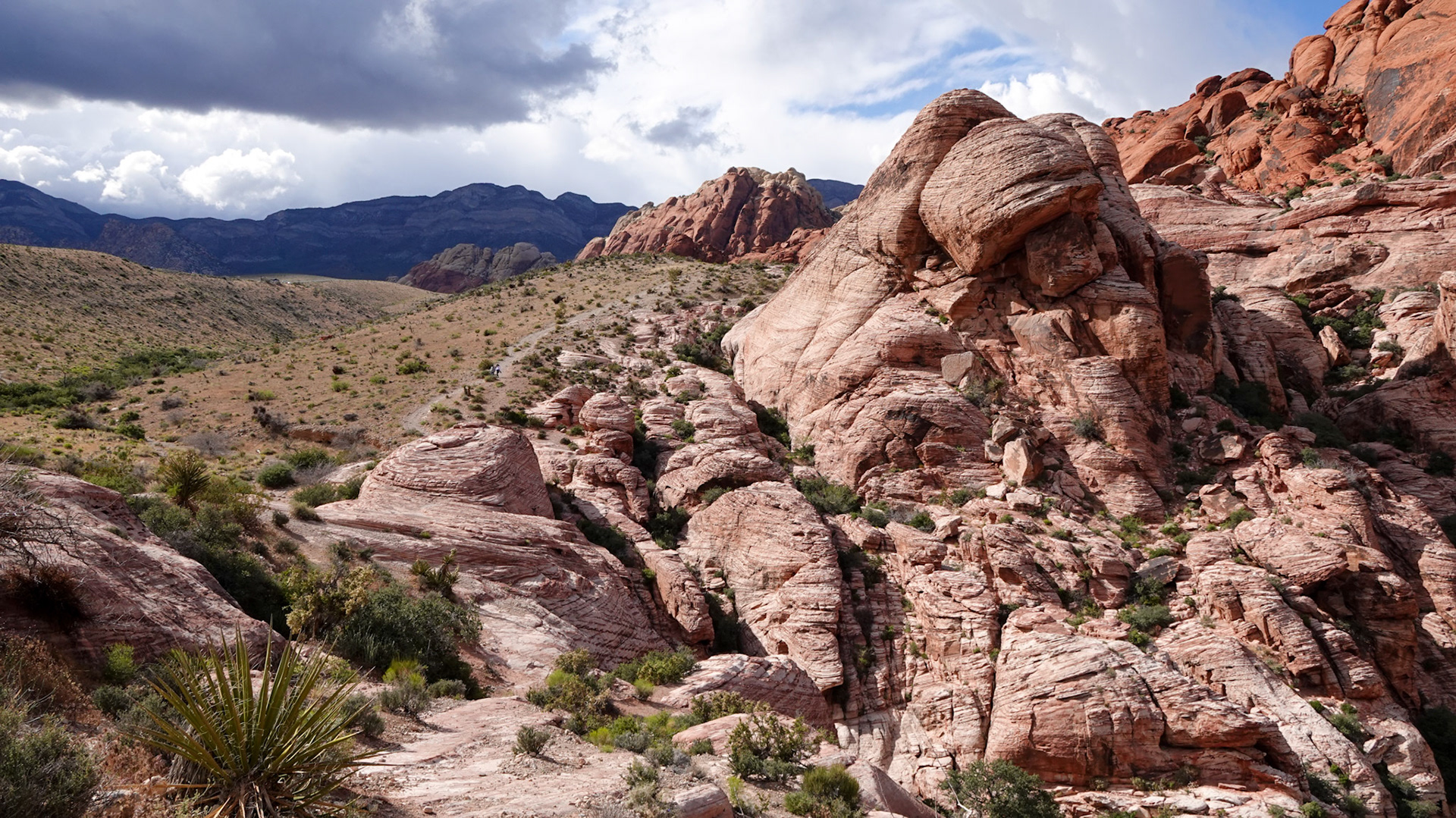 Red Rock Canyon