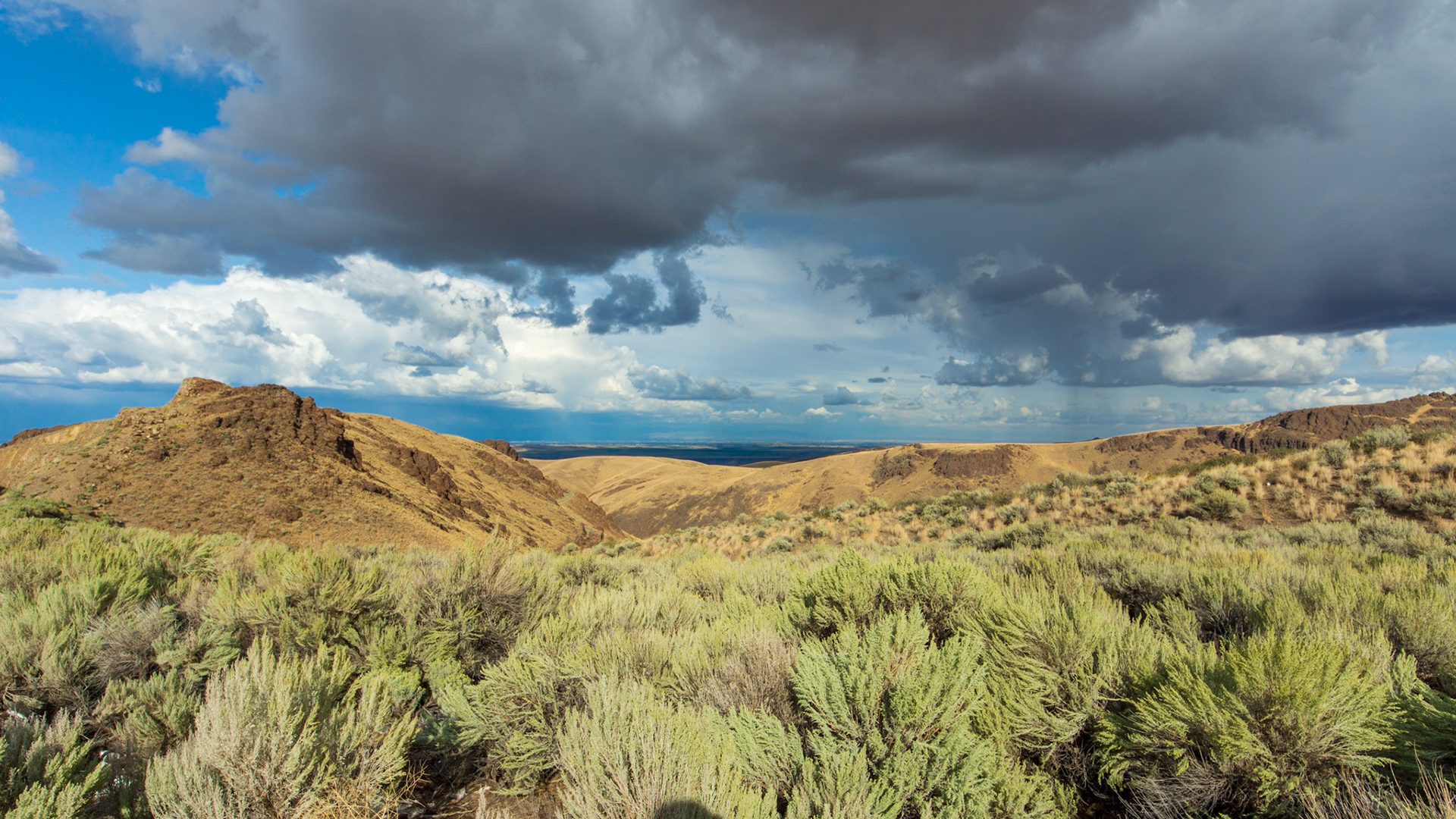 Near Marsing in Idaho