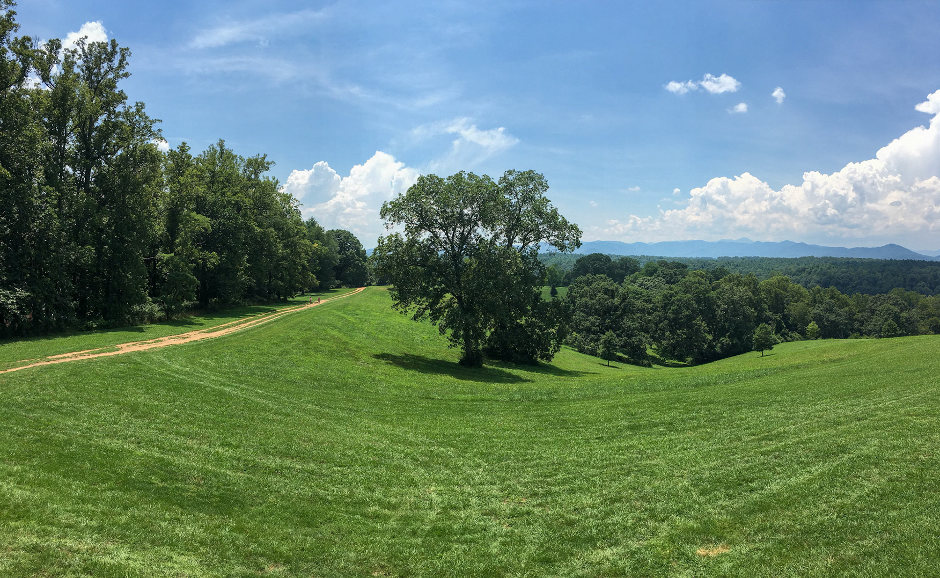 Biltmore Estate in Asheville