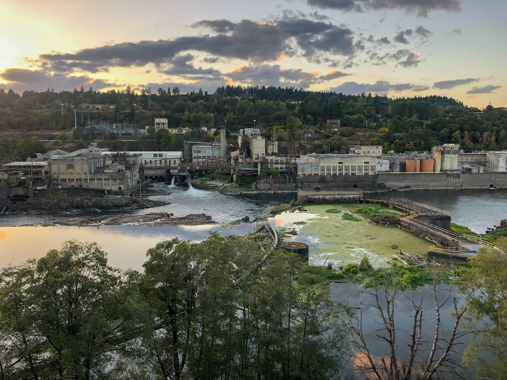Willamette Falls Hydroelectric Reservoir