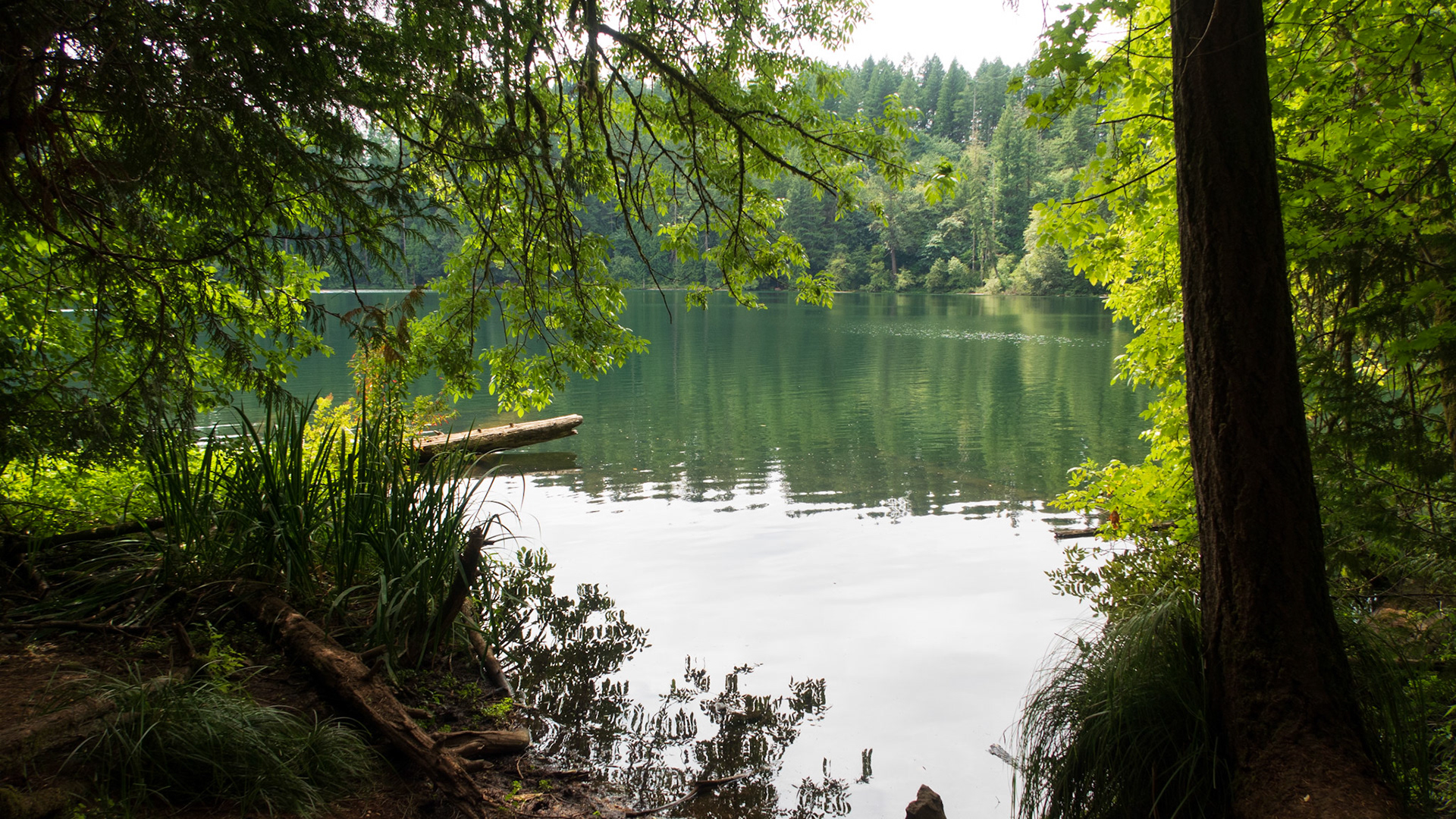 Battle Ground Lake State Park