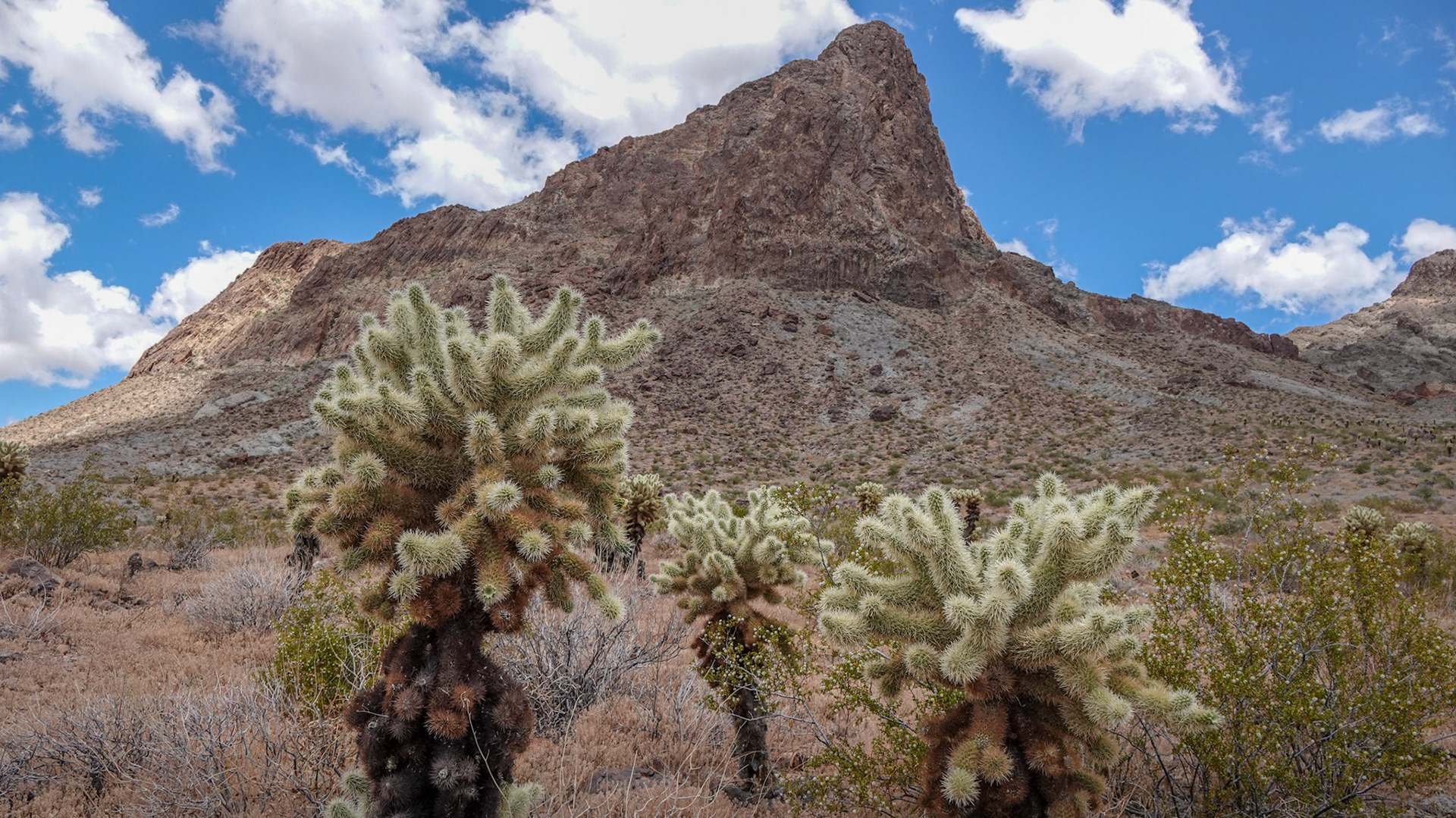 Route 66 Arizona toward Laughlin
