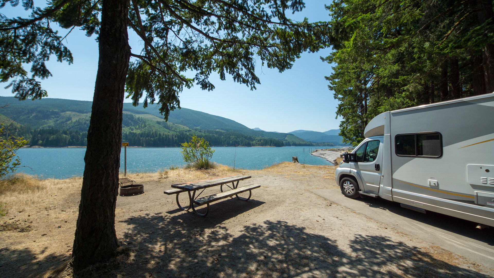 Swift Forrest Camp