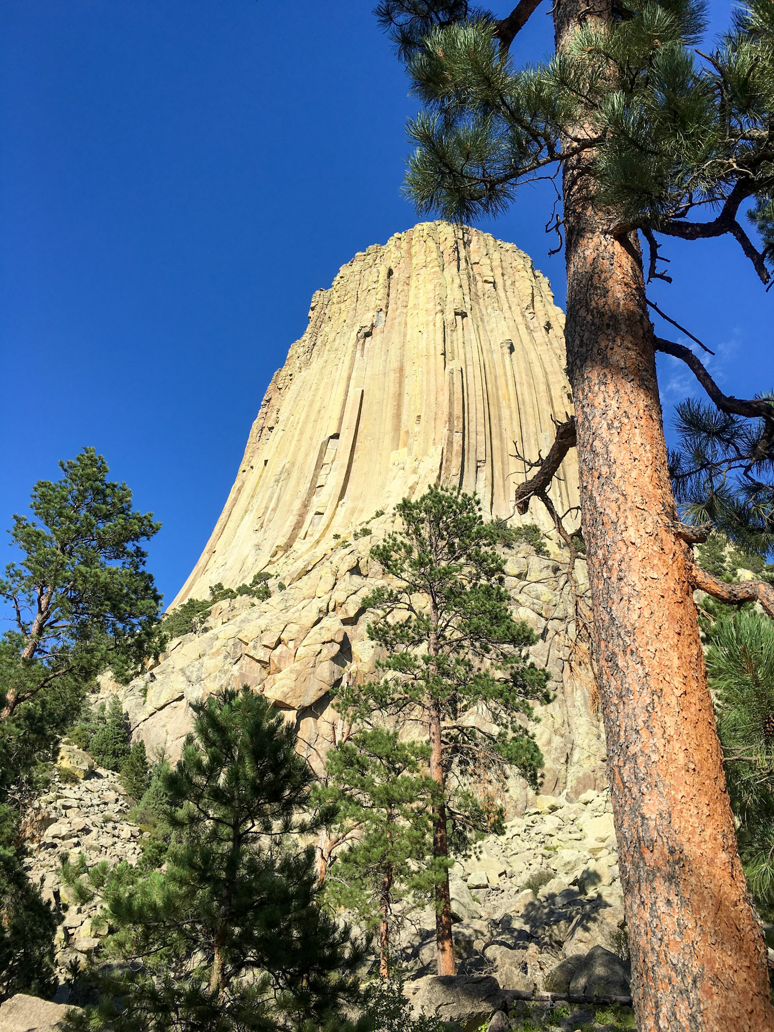 Devils Tower