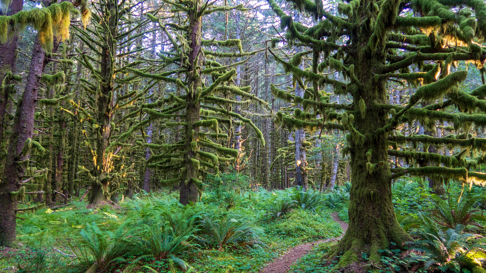 Hebo Lake Campground