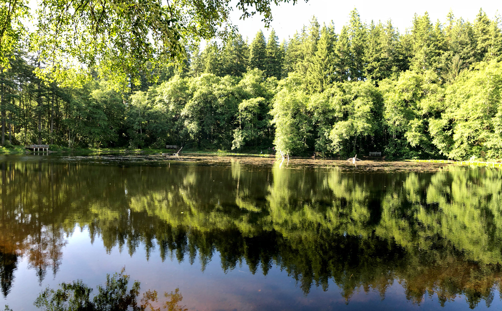 Hebo Lake Campground