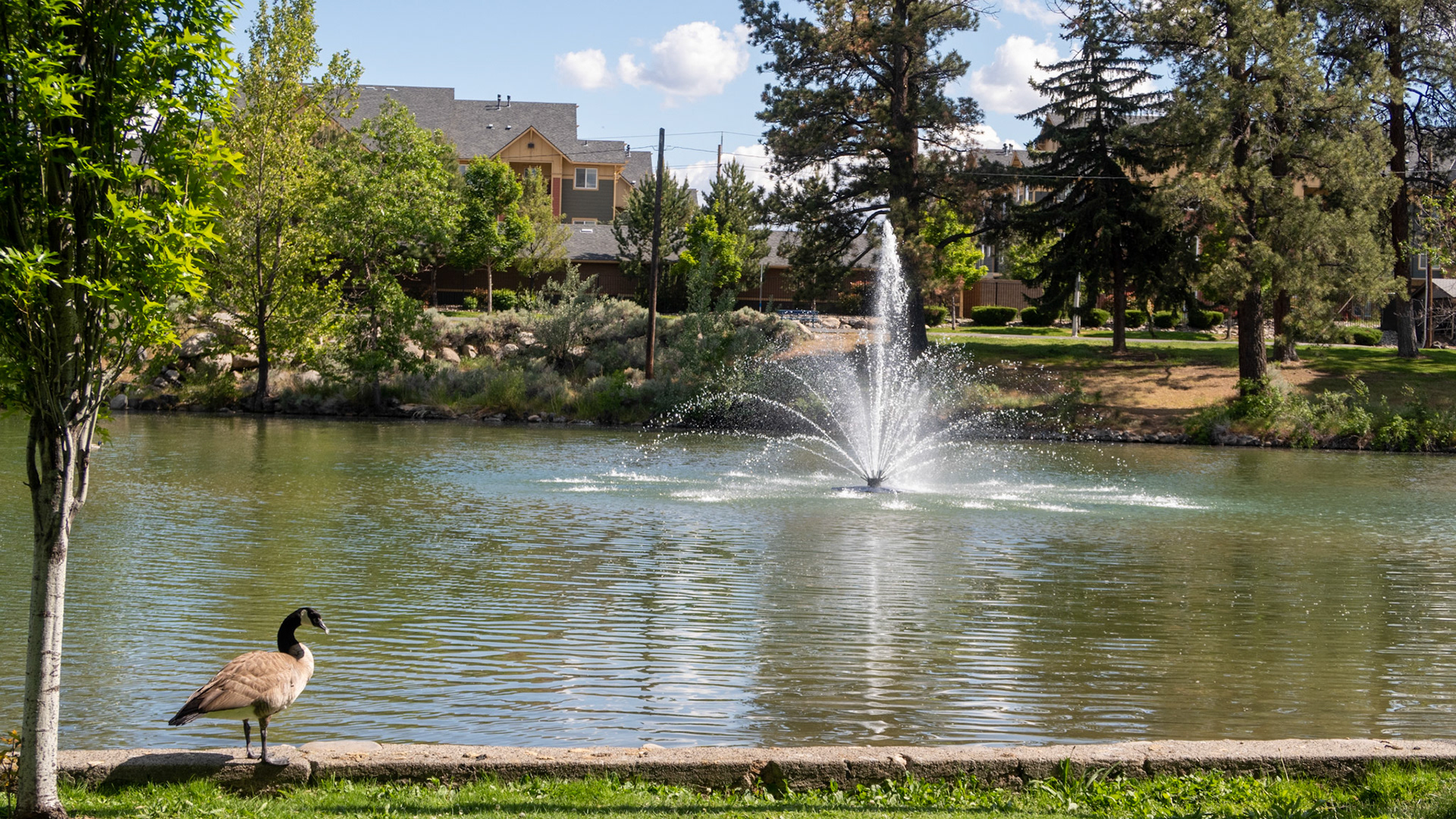 Reno - Riverwest Resort