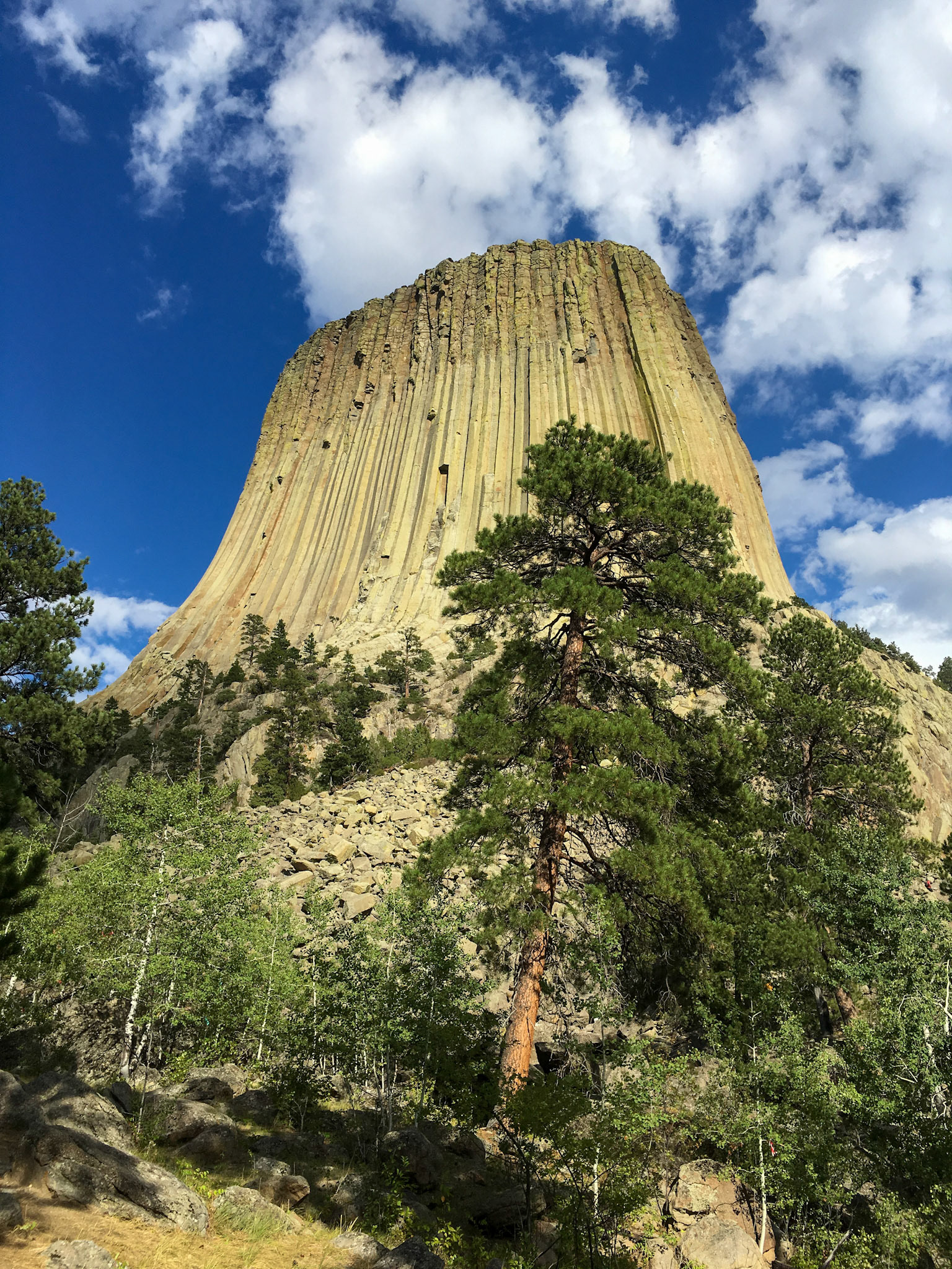 Devils Tower