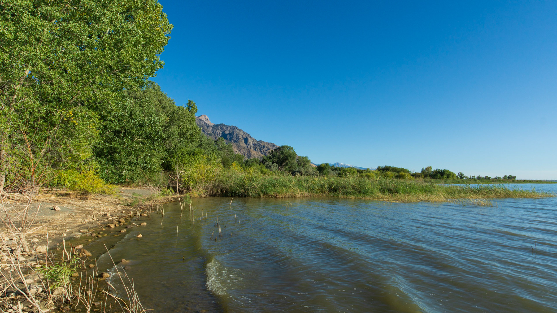Willard Bay North Marina Campground
