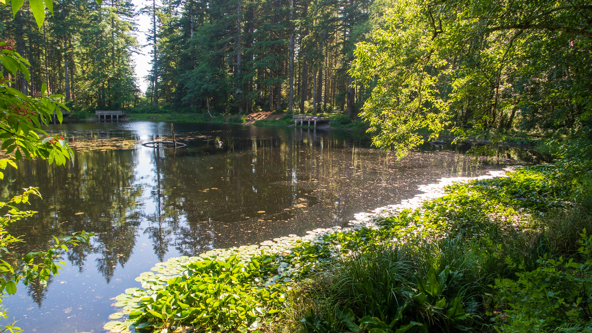 Hebo Lake Campground