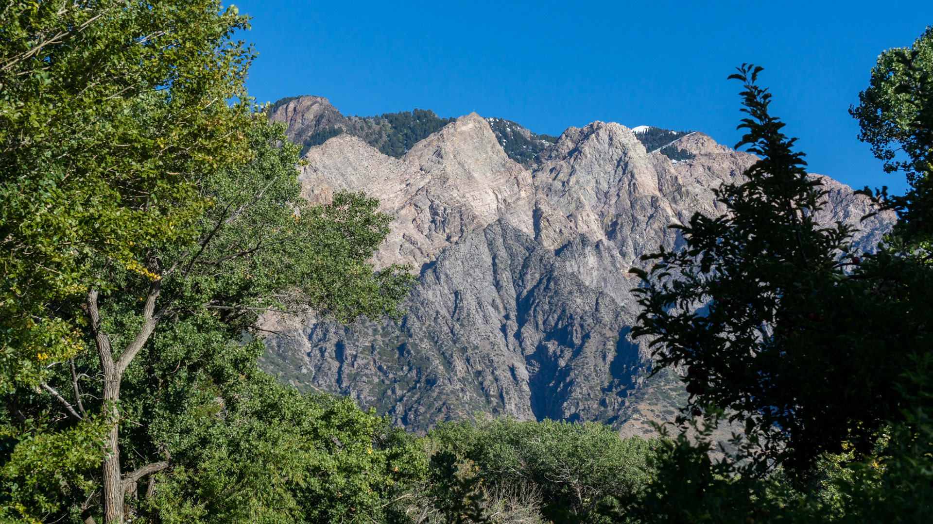 Willard Bay North Marina Campground