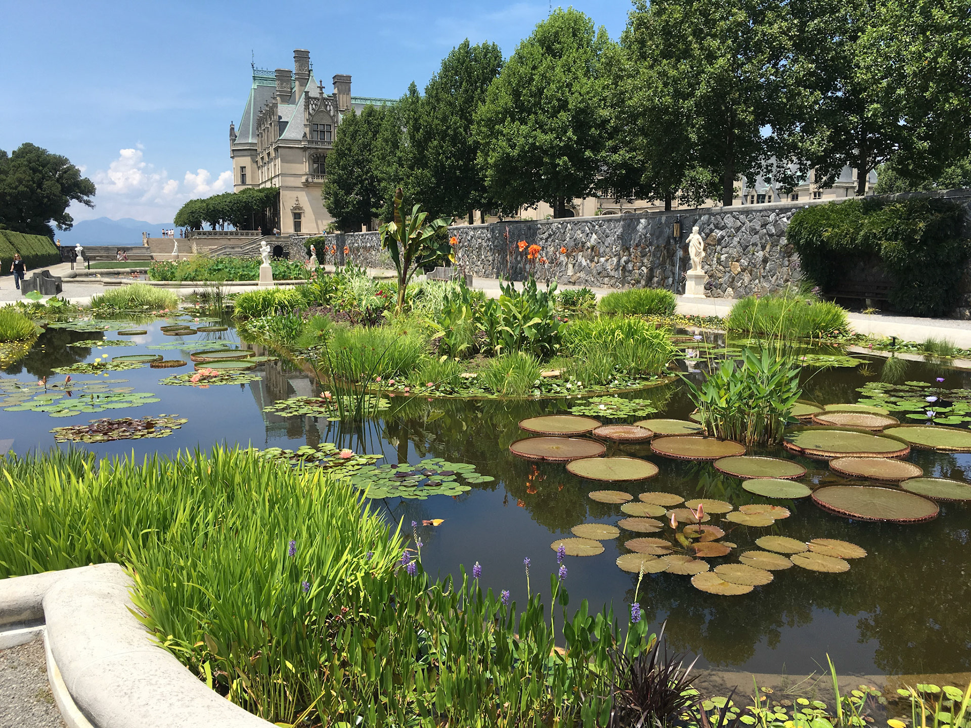 Biltmore Estate in Asheville