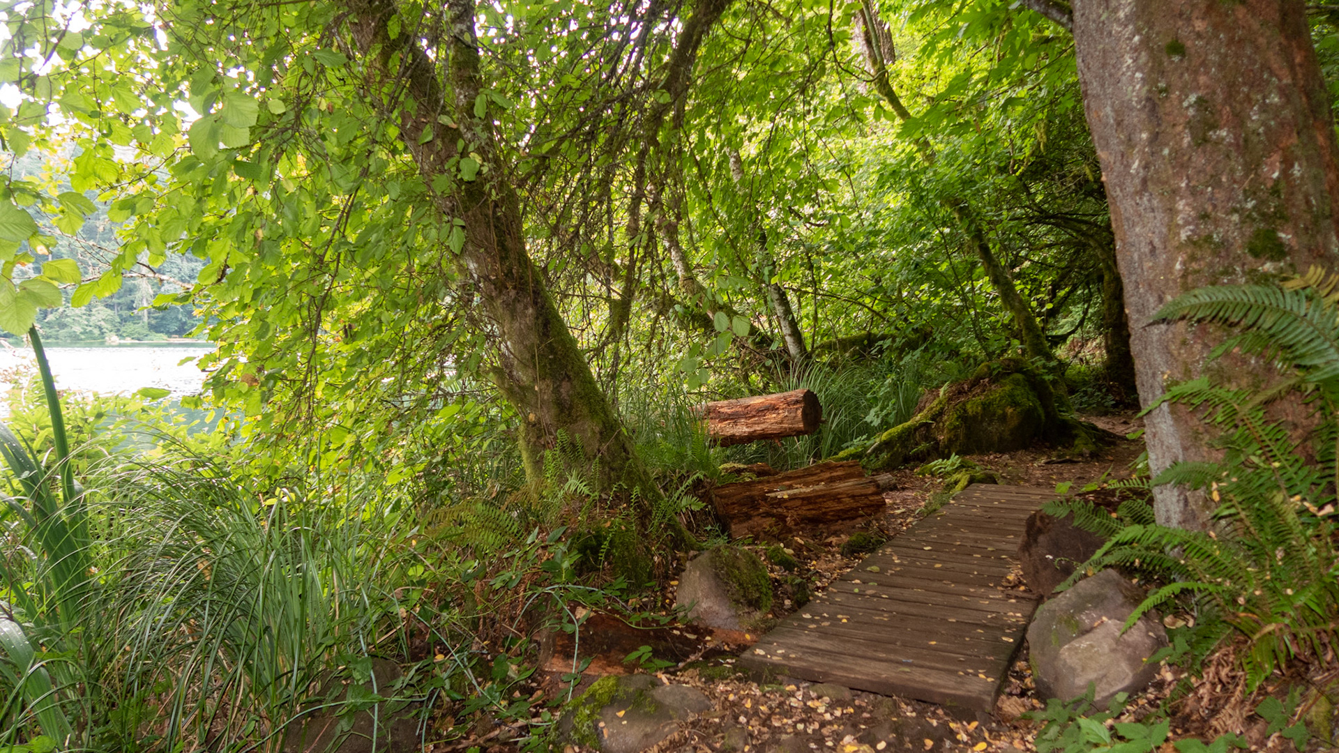 Battle Ground Lake State Park