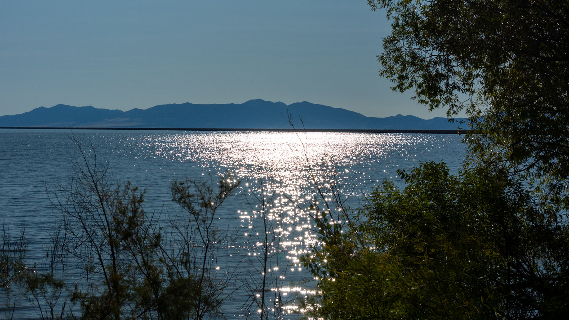 Willard Bay North Marina Campground