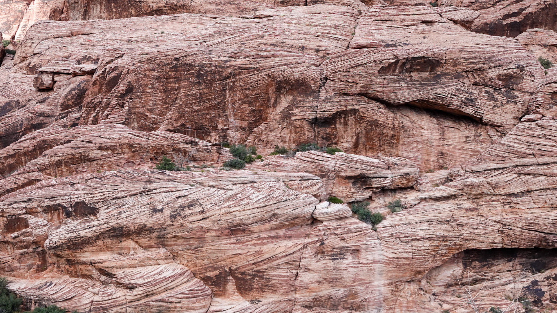 Red Rock Canyon