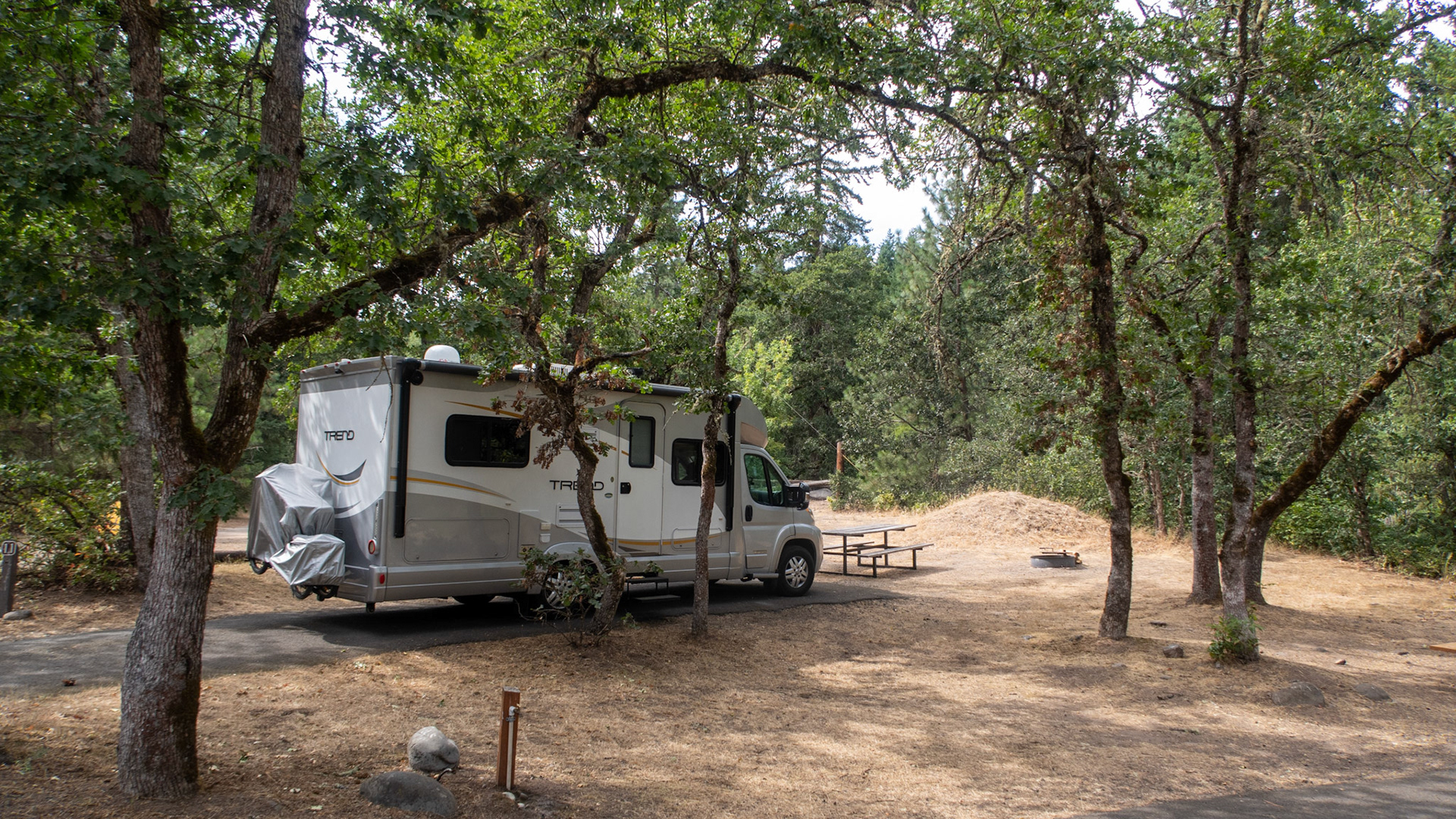 Campsite #11 in Tucker Park