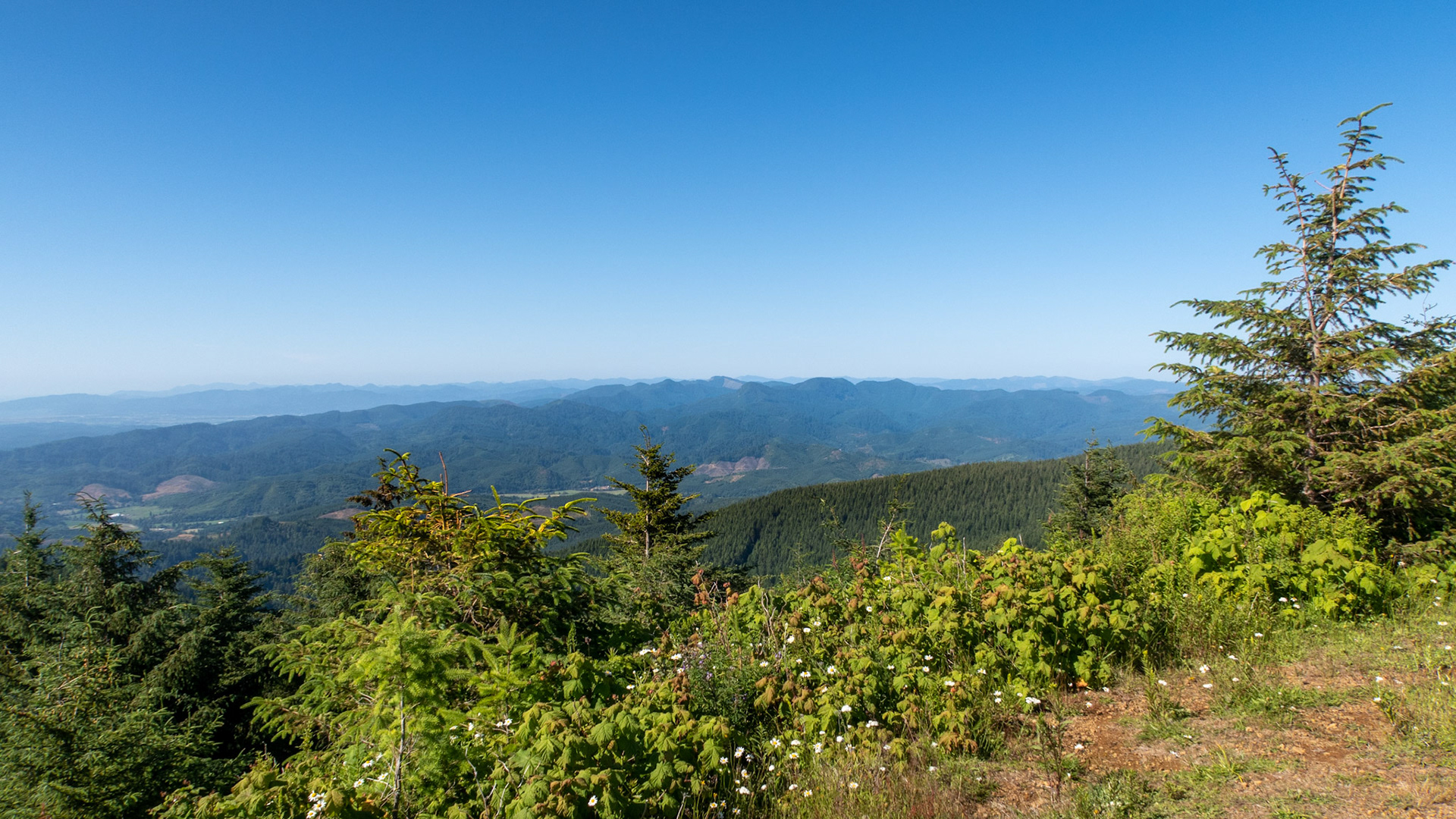 Mount Hebo View Point