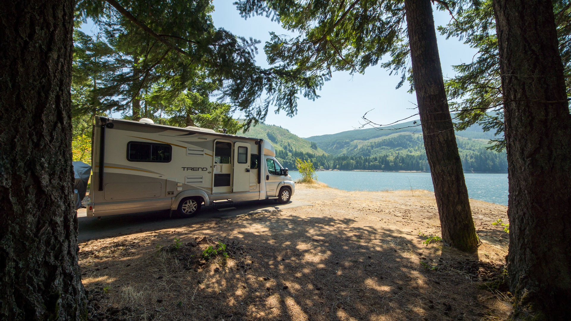 Swift Forrest Camp