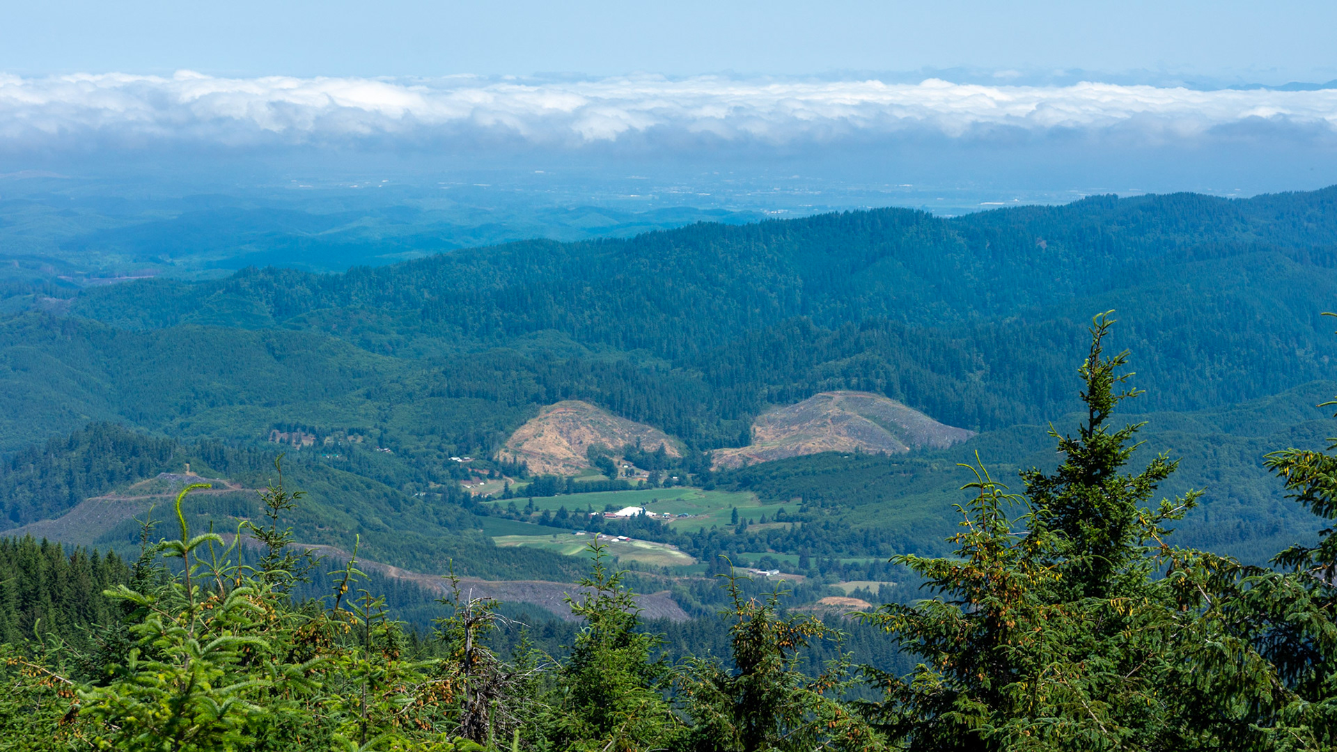 Mount Hebo View Point