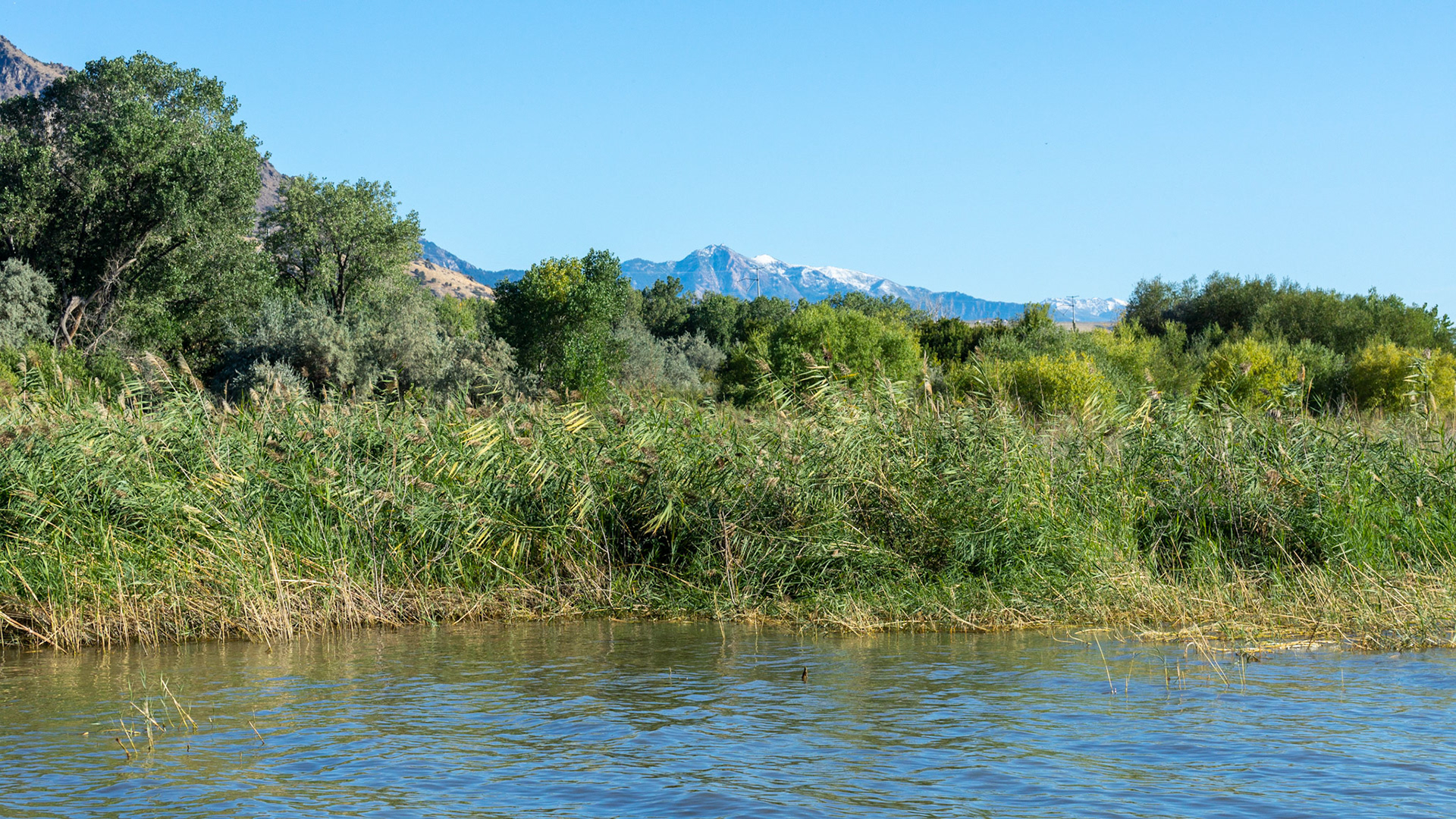 Willard Bay North Marina Campground