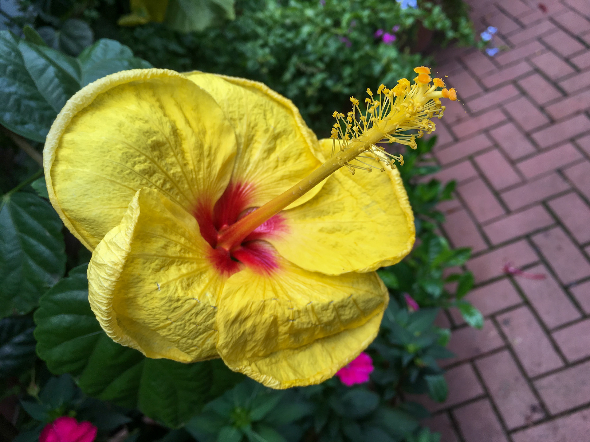 Biltmore Estate in Asheville