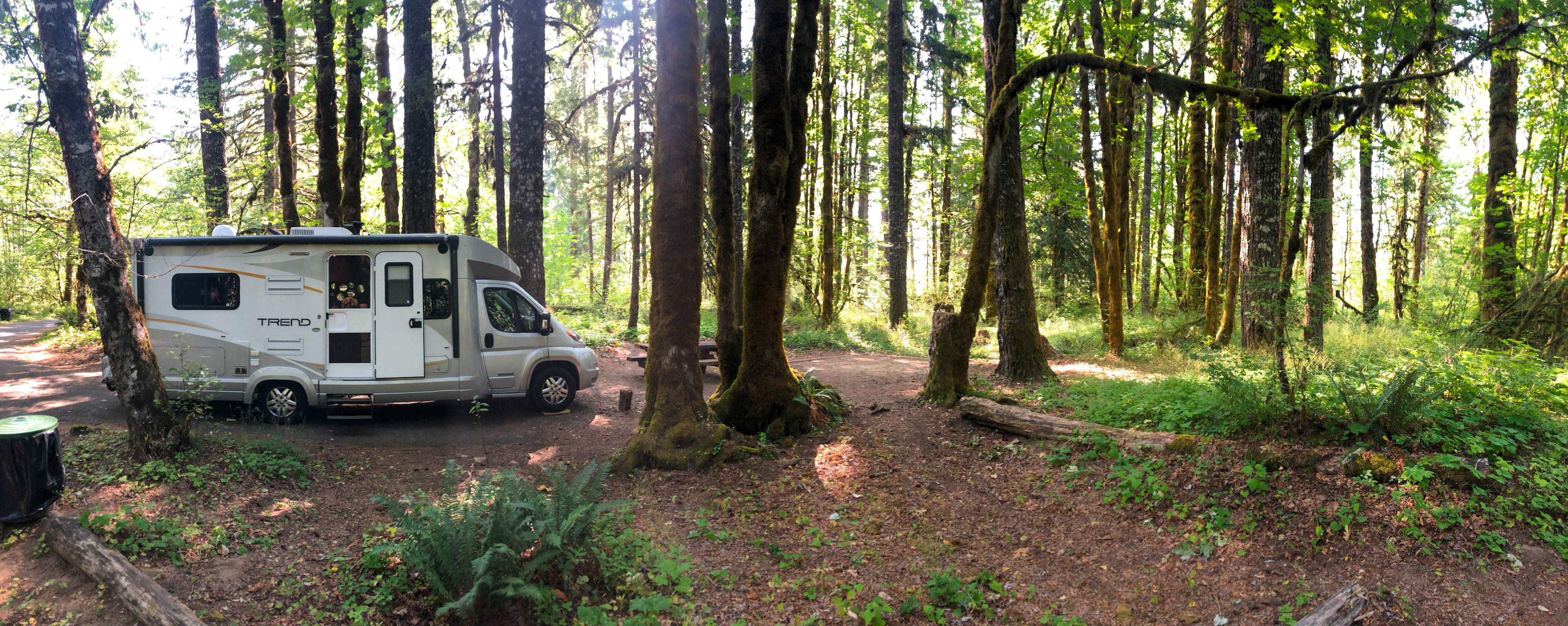 Beaver Camp