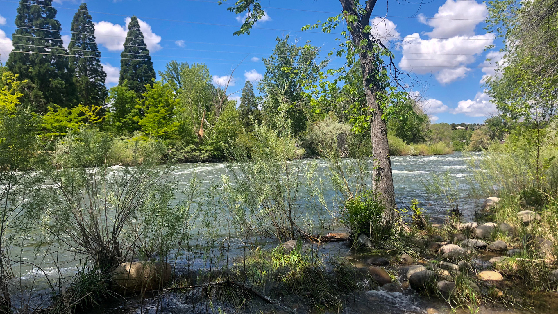 Reno - Riverwest Resort