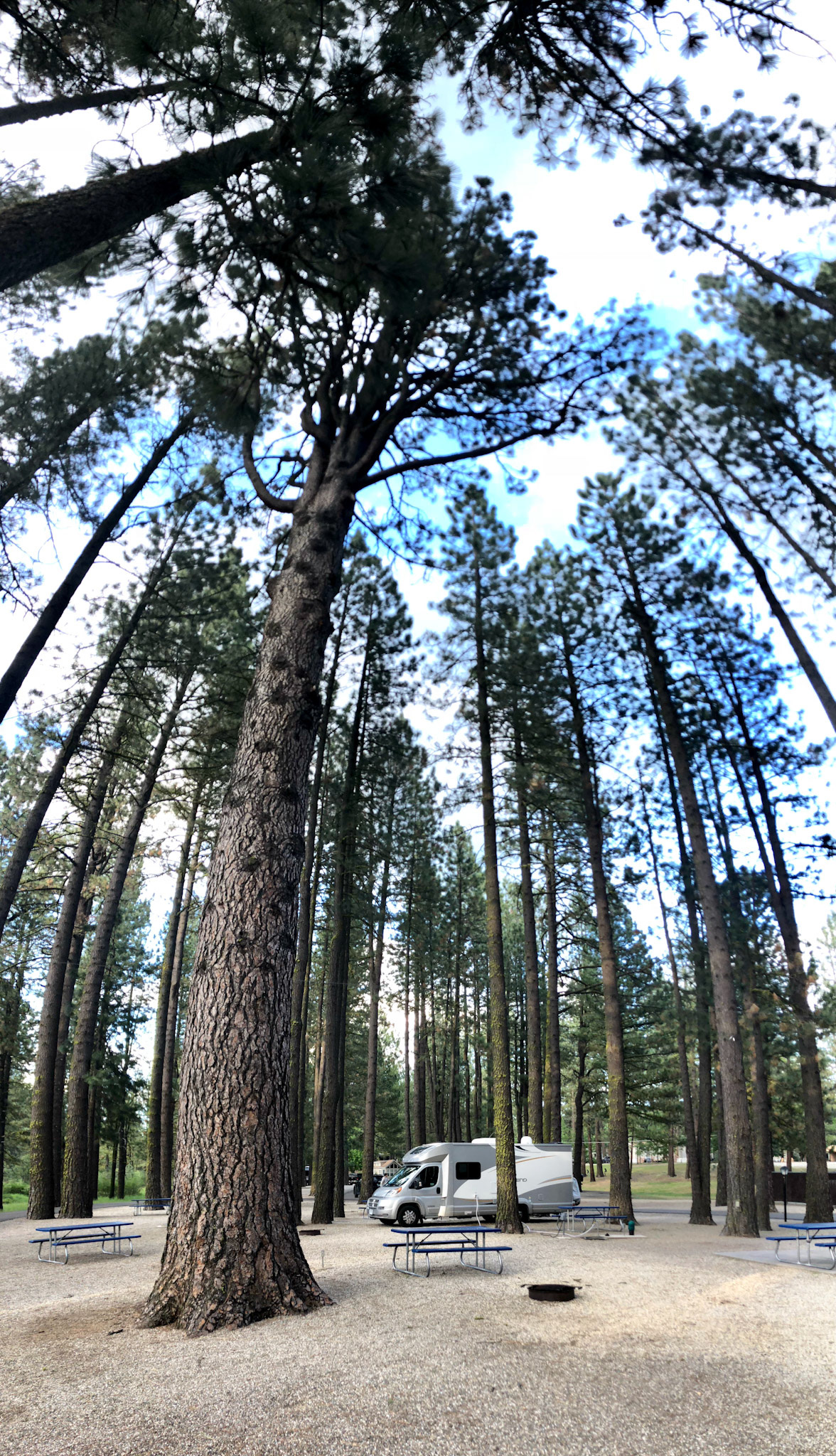 Clio's Rivers Edge RV Park