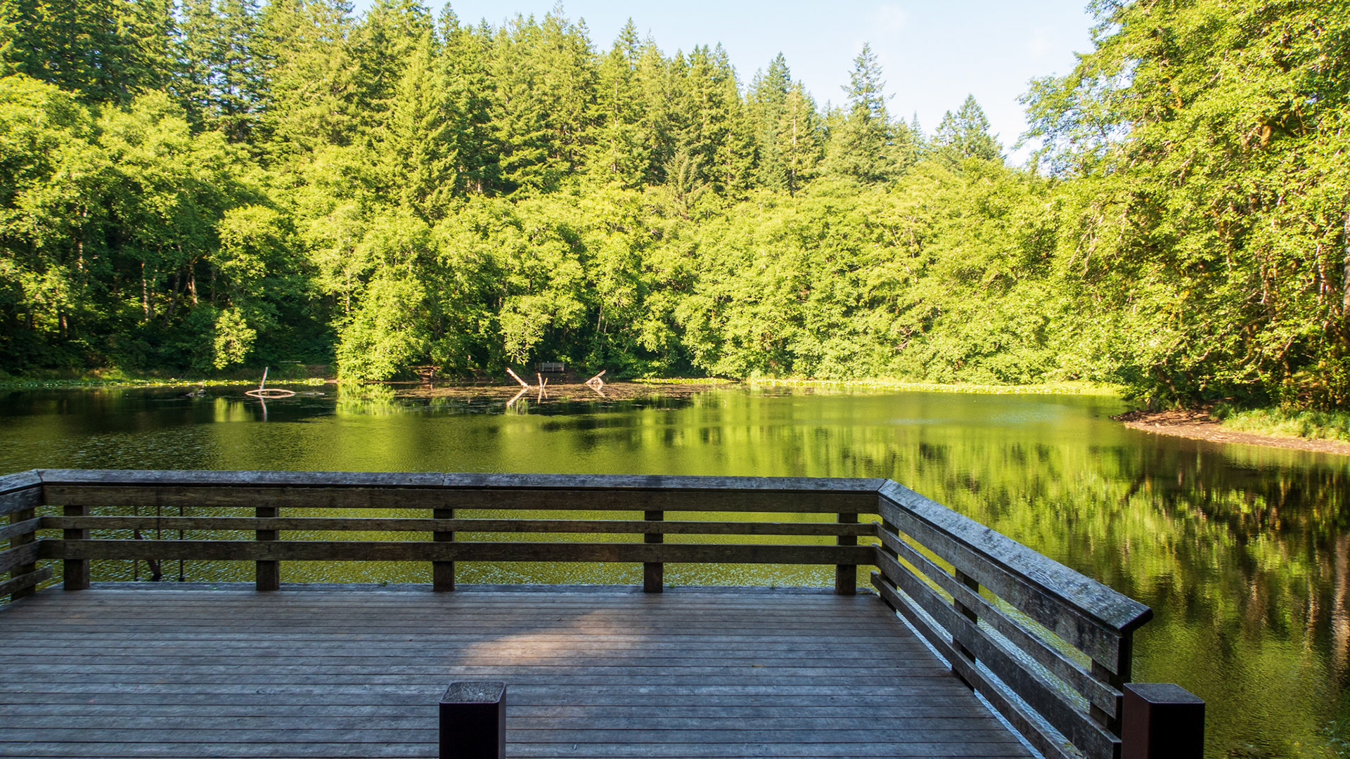 Hebo Lake Campground