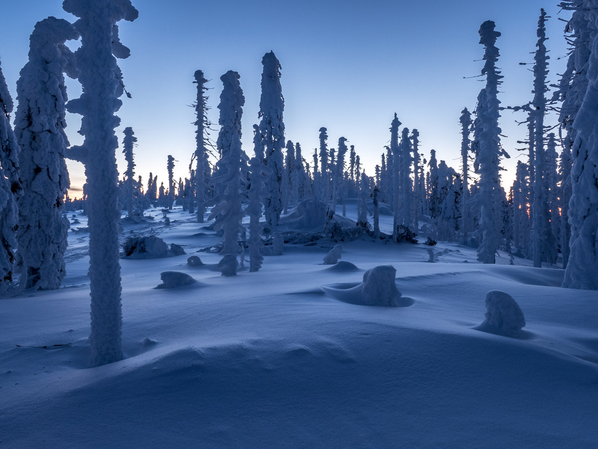 Frühmorgens auf 1300m