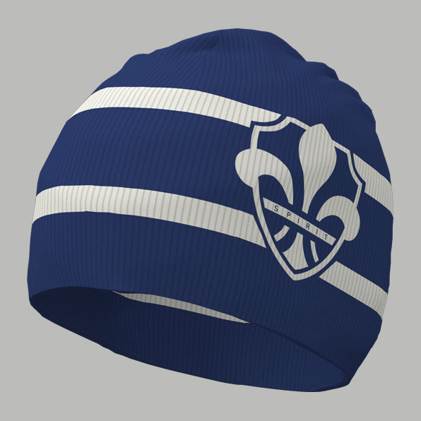 shield beanie