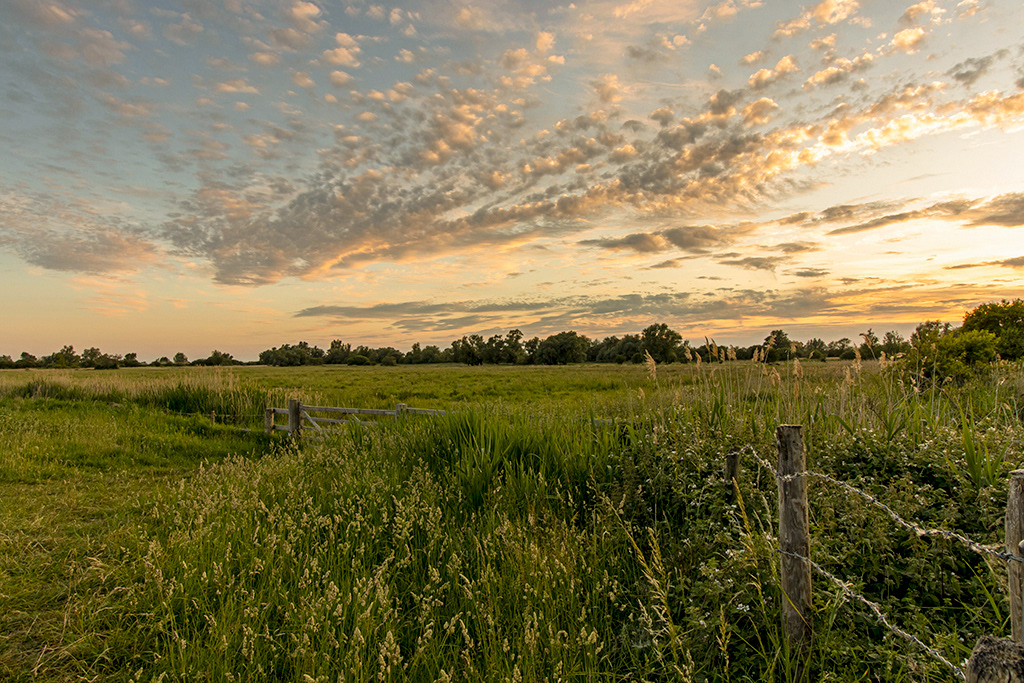 Sunset over Burwell Fen