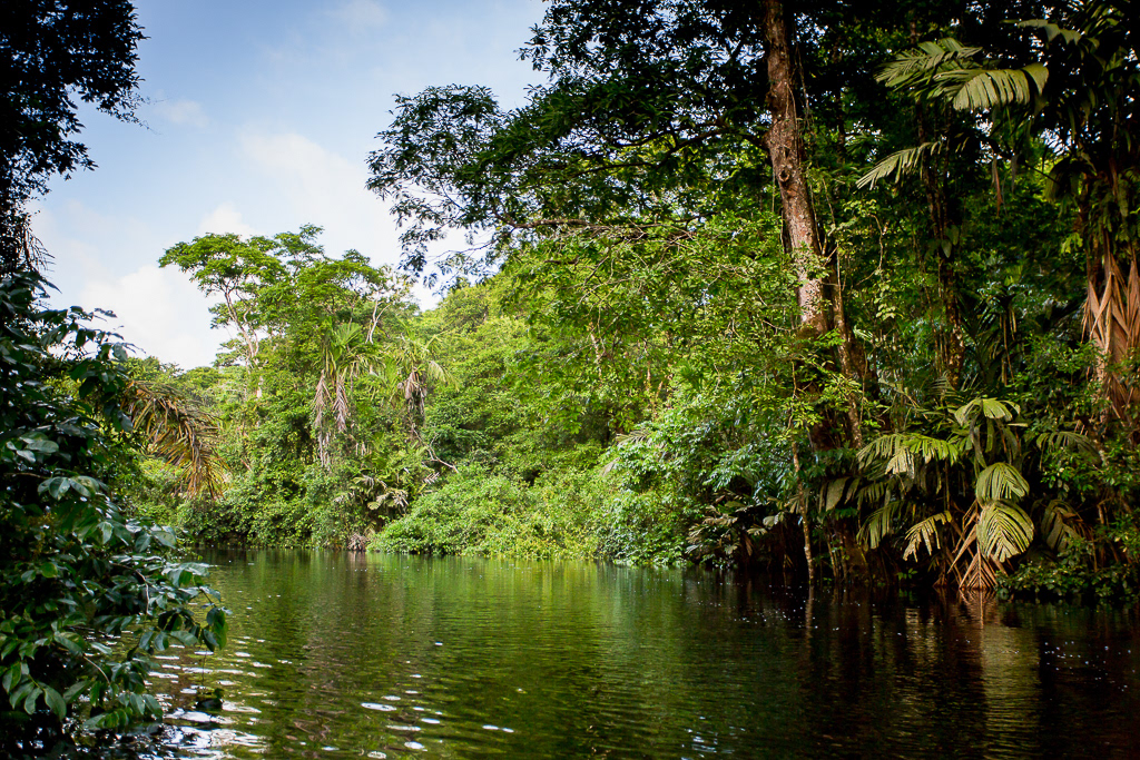 Tortuguero National Park