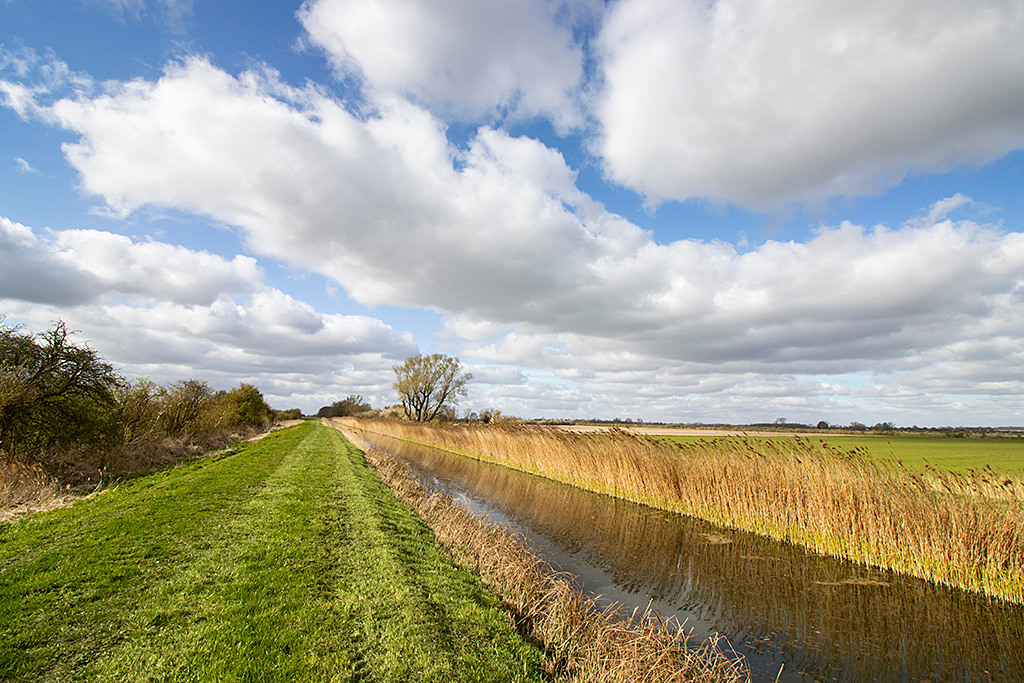 Cambridgeshire Fens