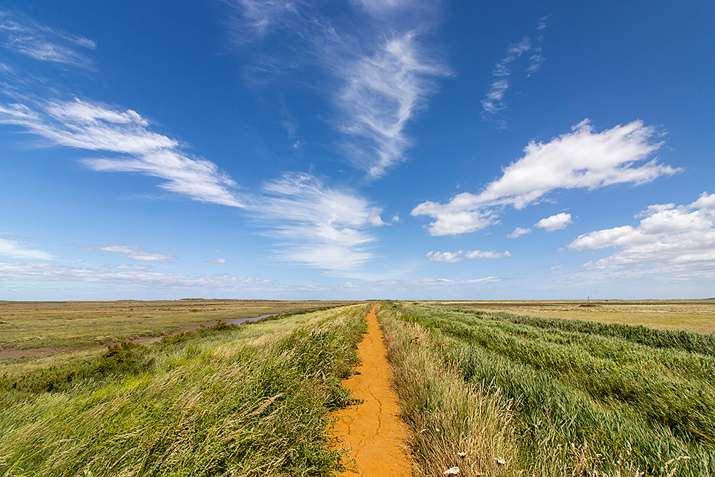 Coastal footpath, Burnham Deepdale, Norfolk