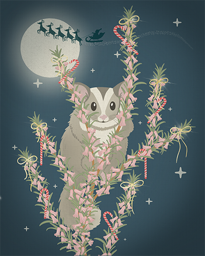 Possum Christmas