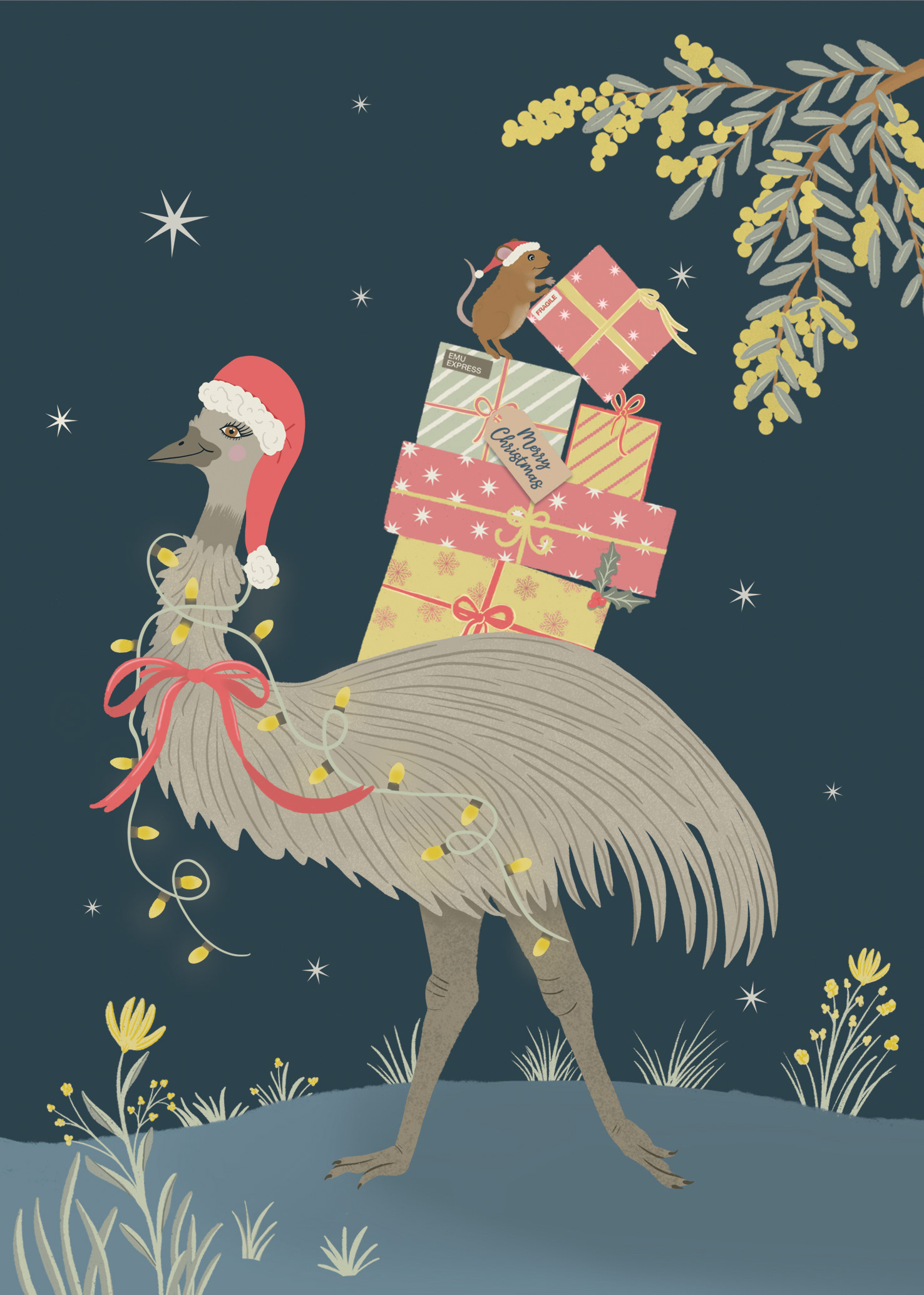 Emu Express Australia Post