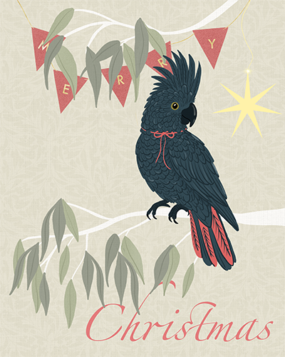 Christmas Black cockatoo