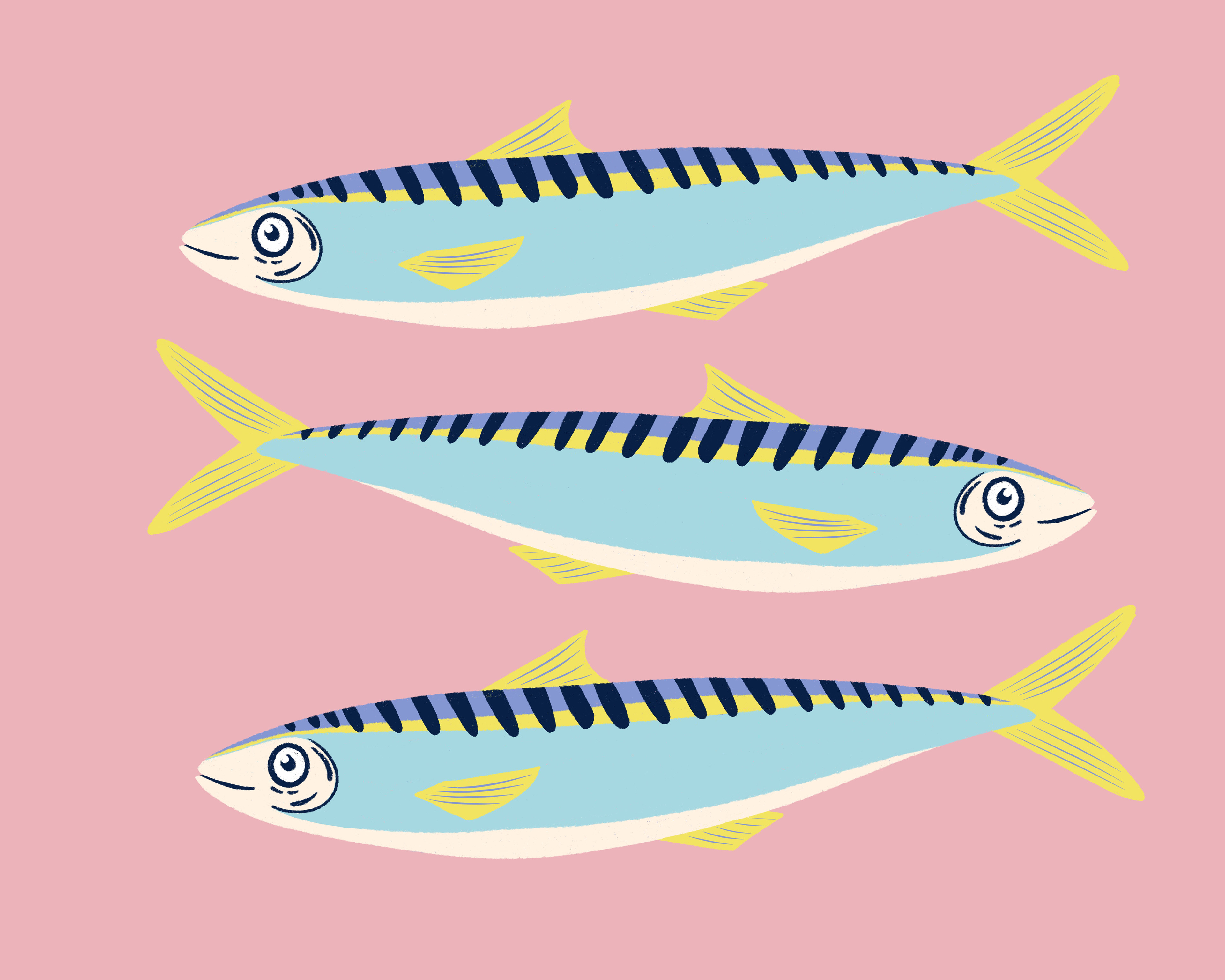 Sardine Art: From this