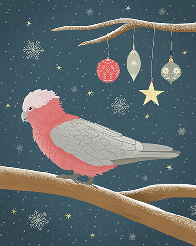 Christmas Galah