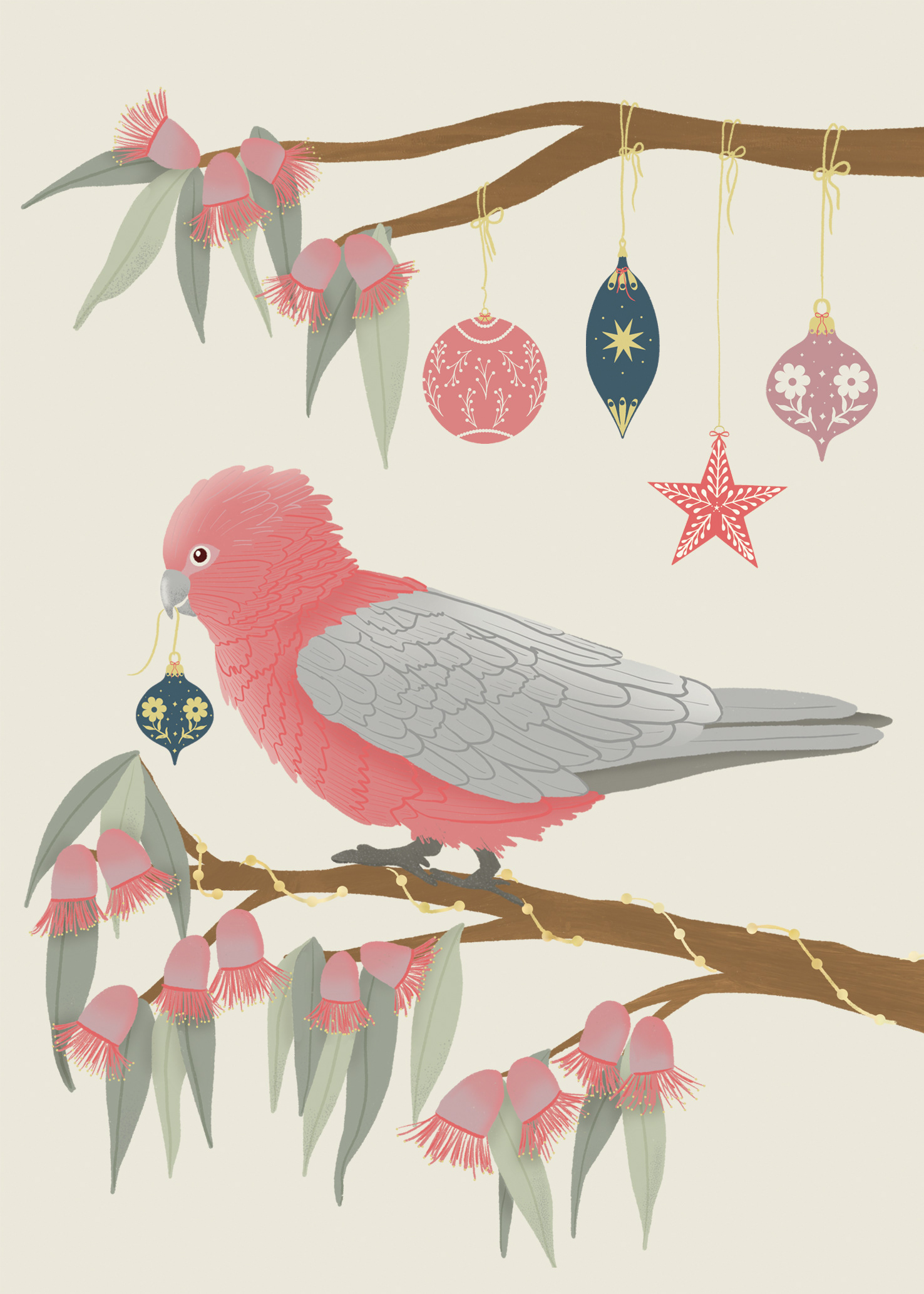 Australian gala decorating christmas gum tree