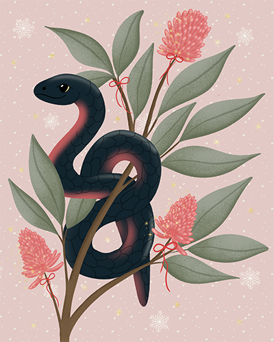 Christmas red bellied black snake