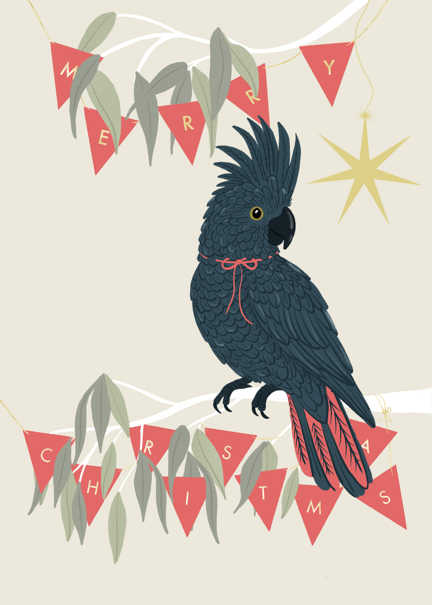 Cockatoo in Christmas gum tree