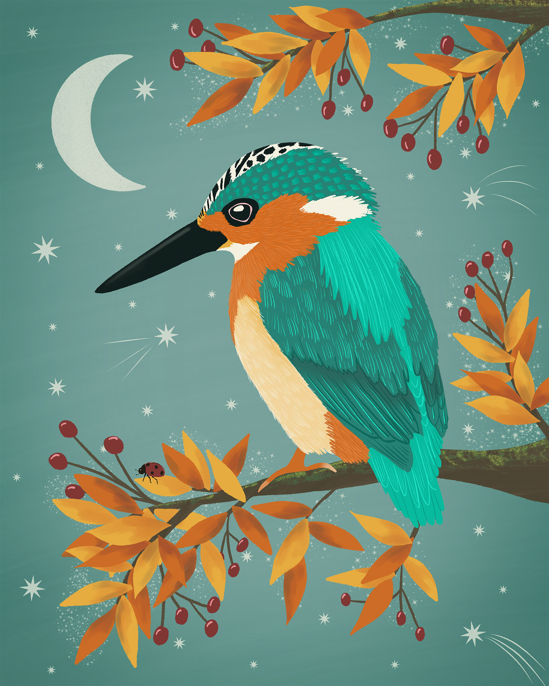 Kingfisher on Riverbank